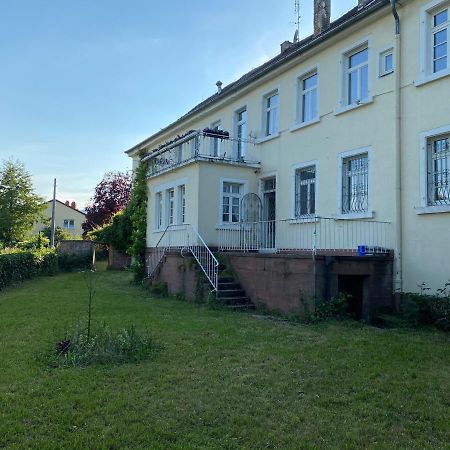 Schloss Hainfeld Zewnętrze zdjęcie