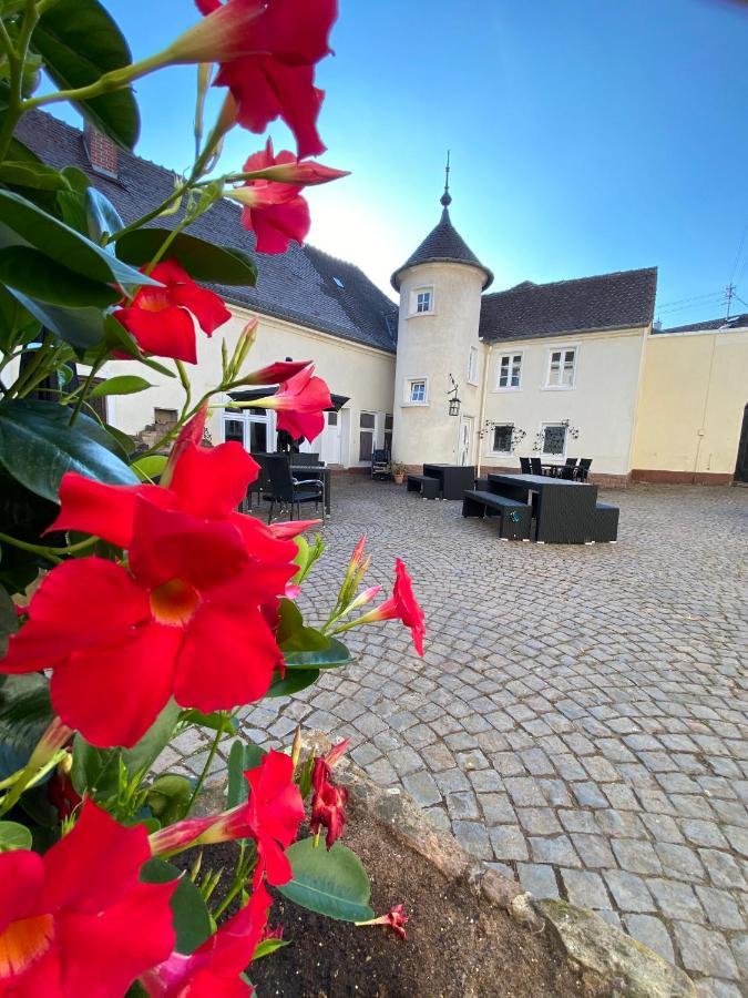 Schloss Hainfeld Zewnętrze zdjęcie